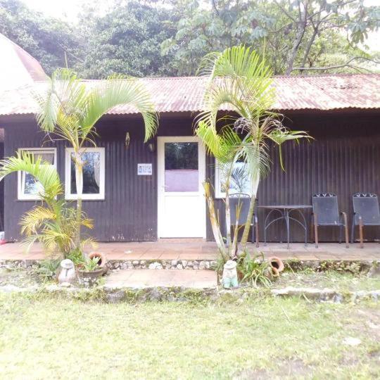 Cabanas Casa Victoria Boquete Zewnętrze zdjęcie